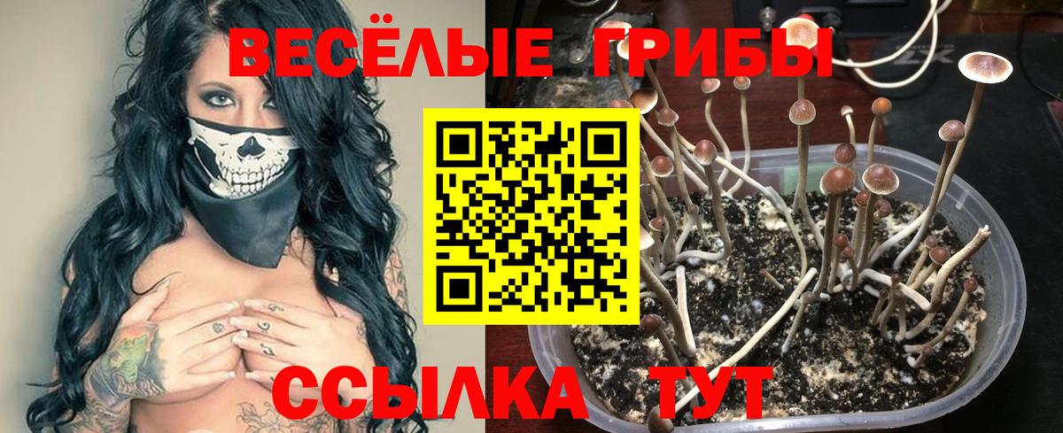 Галлюциногенные грибы GOLDEN TEACHER  Вход с VPN  Елабуга 
